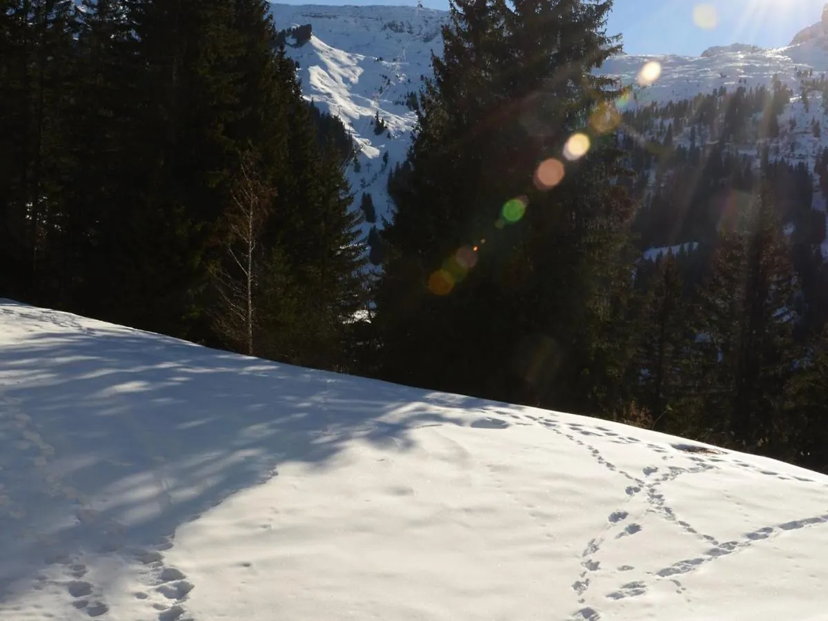 Apartment Studio Renove Avec Cabine, Balcon Et Casier A Ski, Au Centre De Flaine Foret - Fr-1-425-154