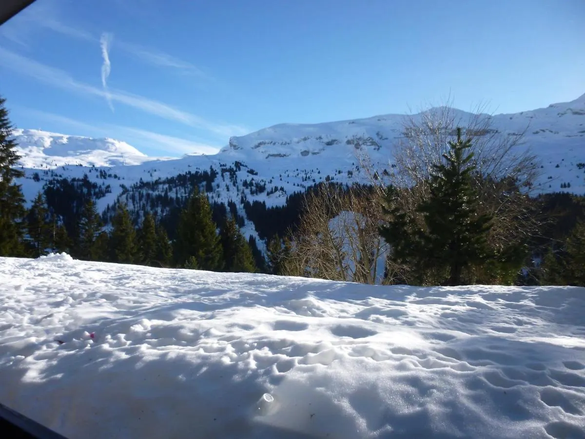 Studio Renove Avec Cabine, Balcon Et Casier A Ski, Au Centre De Flaine Foret - Fr-1-425-154