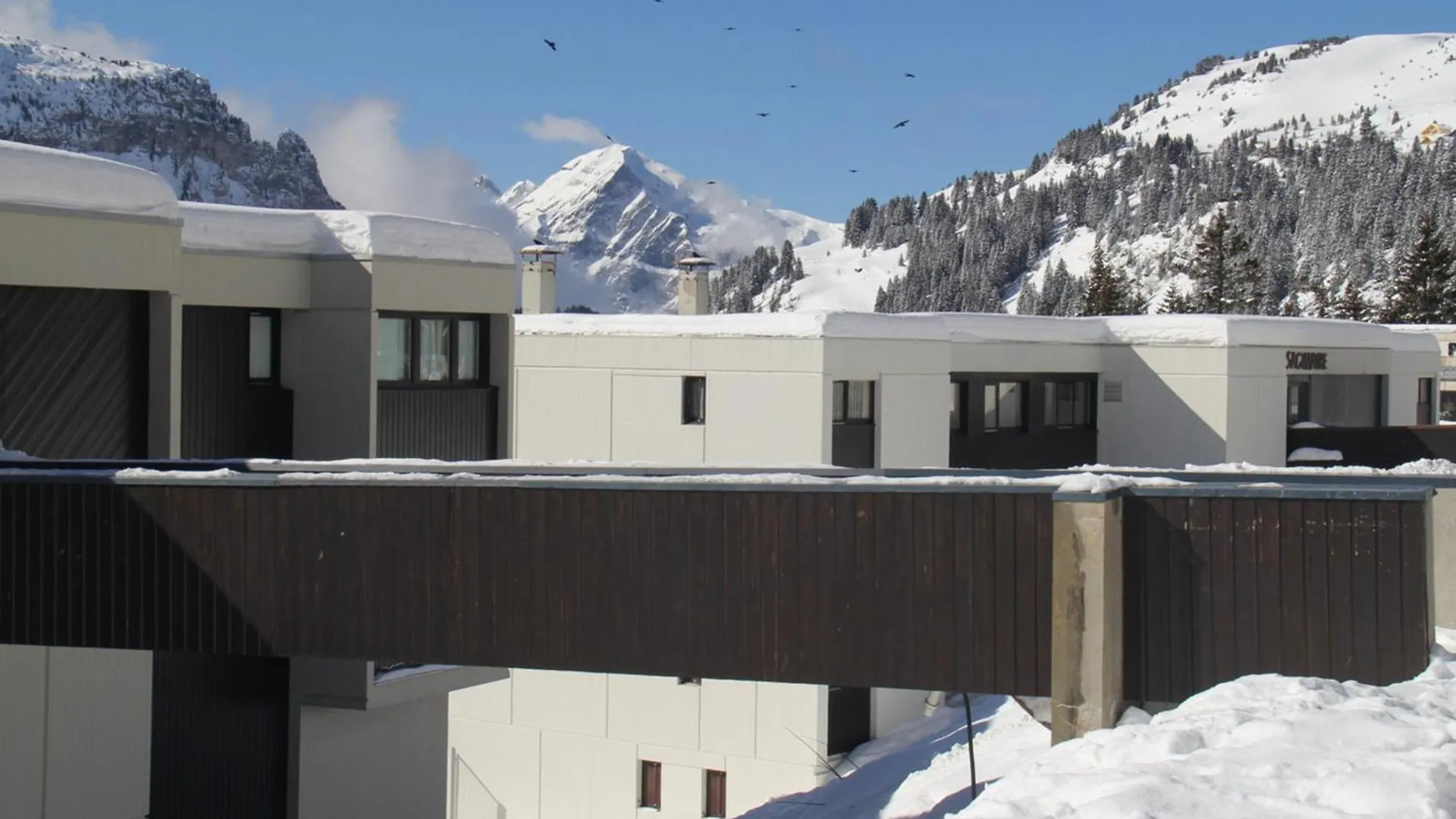 Studio Renove Avec Cabine, Balcon Et Casier A Ski, Au Centre De Flaine Foret - Fr-1-425-154 France